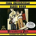 Paul Butterfield - Come On In This House
