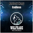 Andrew Nagy - Endless Original Mix
