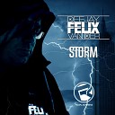 Dj Felix Van Der - Storm Extended Mix