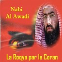 Nabi Al Awadi - La Roqya Par Le Coran Pt 1