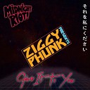 Ziggy Phunk - Stand Up