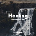 Dr Joe Healer - Soul in Harmony