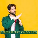 New Age Sound Therapy Masters - Soft Background Music