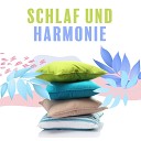 Tiefenentspannung Akademie - Zarte Schlafmusik