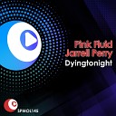 Pink Fluid Jarell Perry - Dying Tonight Plastik Funk Remix