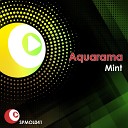 Aquarama - Mint Dub Re edit Mix