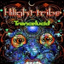 Hilight Tribe - Gamma Waves