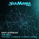 Endy Kleemush - The Wall Courage Remix