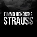 Timmo Hendriks - Strauss Original Mix