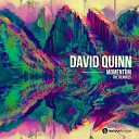 David Quinn feat Sidekicks - Momentum Joey Shigrov Remix