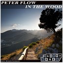 Peter Flow - In The Wood Original Radio Mix