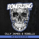 Olly James RIBELLU - Mo fuckers Original Mix