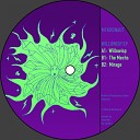 M1KRONAUT - Willowisp Original Mix