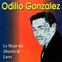 Odilio Gonz lez - Imposible