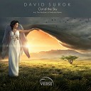 David Surok - Out Of The Sky Original Mix