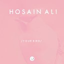Hosain Ali - Meeting Original Mix