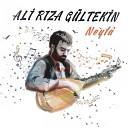Ali R za G ltekin - Sana Kolay Gelir