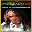 TAMPANAE - Voice in the Wilderness