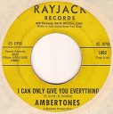 Ambertones - I Can Only Give You Everything
