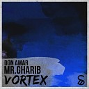 Mr Gharib Don Amar - Vortex Original Mix