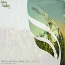 Dave Shifting Robbie Seed - Mentha Original Mix AGRMusi
