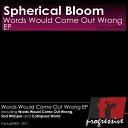 Spherical Bloom - Collapsed World Original Mix