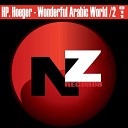 Hp Hoeger - Wonderful Arabic World Instrumental Mix