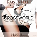 Rosenhaft - I Always Wanted Original Mix