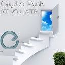 Crystal Peak - See You Later Monkee Bizz Remix
