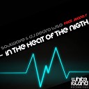 Soulwave Dj Pedro Luso Feat Joana R - In The Heat of The Nigth Original Mix