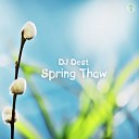 DJ Dest - Spring Thaw Original Mix