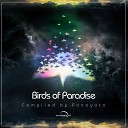 Virgo - Birds Of Paradise Original Mix