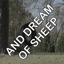 2016 Billboard Masters - And Dream Of Sheep Tribute to Kate Bush