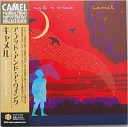 Camel - Fox Hill