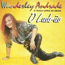 Wanderley Andrade - Loucura do Amor