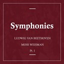 l Orchestra Filarmonica di Moss Weisman - Symphony No 2 in D Major Op 36 Allegro molto
