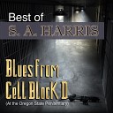 S A Harris - Blue s De ville