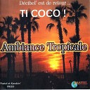 Remix DJ Power D - D cibel ambiance tropicale In dit