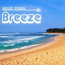Danny Siberia - Breeze Original Mix