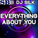 DJ Silk - Everything About You Instrumental Version