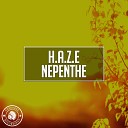 H A Z E - Nepenthe Original Mix