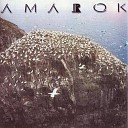 Amarok Poland - Fieldmour I