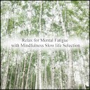 Mindfulness Slow Life Selection - Autumn Leaves Coping Skills Original Mix