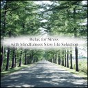 Mindfulness Slow Life Selection - Forever Relaxation Original Mix