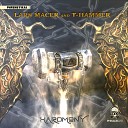 Lars Macer T Hammer - Chaos Original Mix