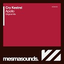 Cry Kestrel - Apollo Original Mix