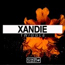 XANDIE - Twiggle Original Mix