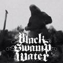 Black Swamp Water - The End