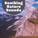 Soothing White Noise for Infant Sleeping and Massage Crying Colic… - Natural Sounds
