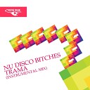 Nu Disco Bitches - Trama Instrumental Mix